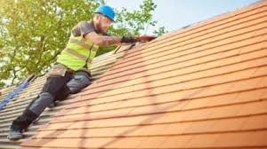 Best Rubber Roofing (EPDM, TPO)  in Lake Camelot, IL