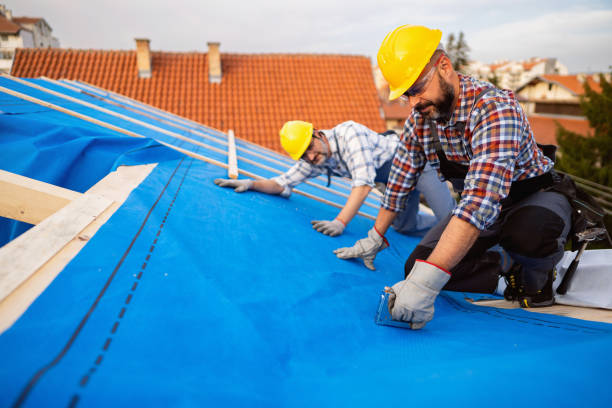 Steel Roofing in Lake Camelot, IL