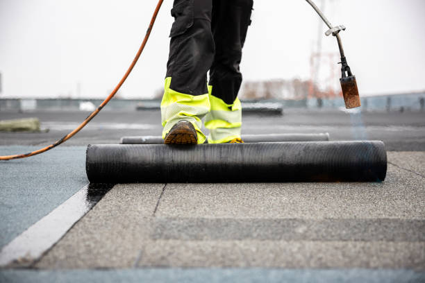 Best Roof Moss and Algae Removal  in Lake Camelot, IL